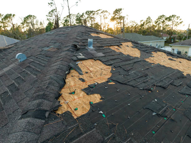 Best Roof Leak Repair  in Tysons, VA